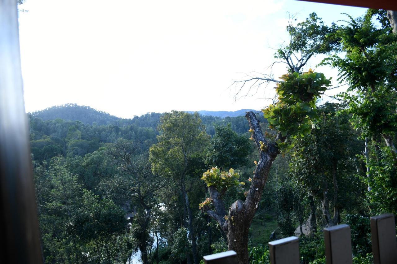 River View Guest House Мадикери Экстерьер фото